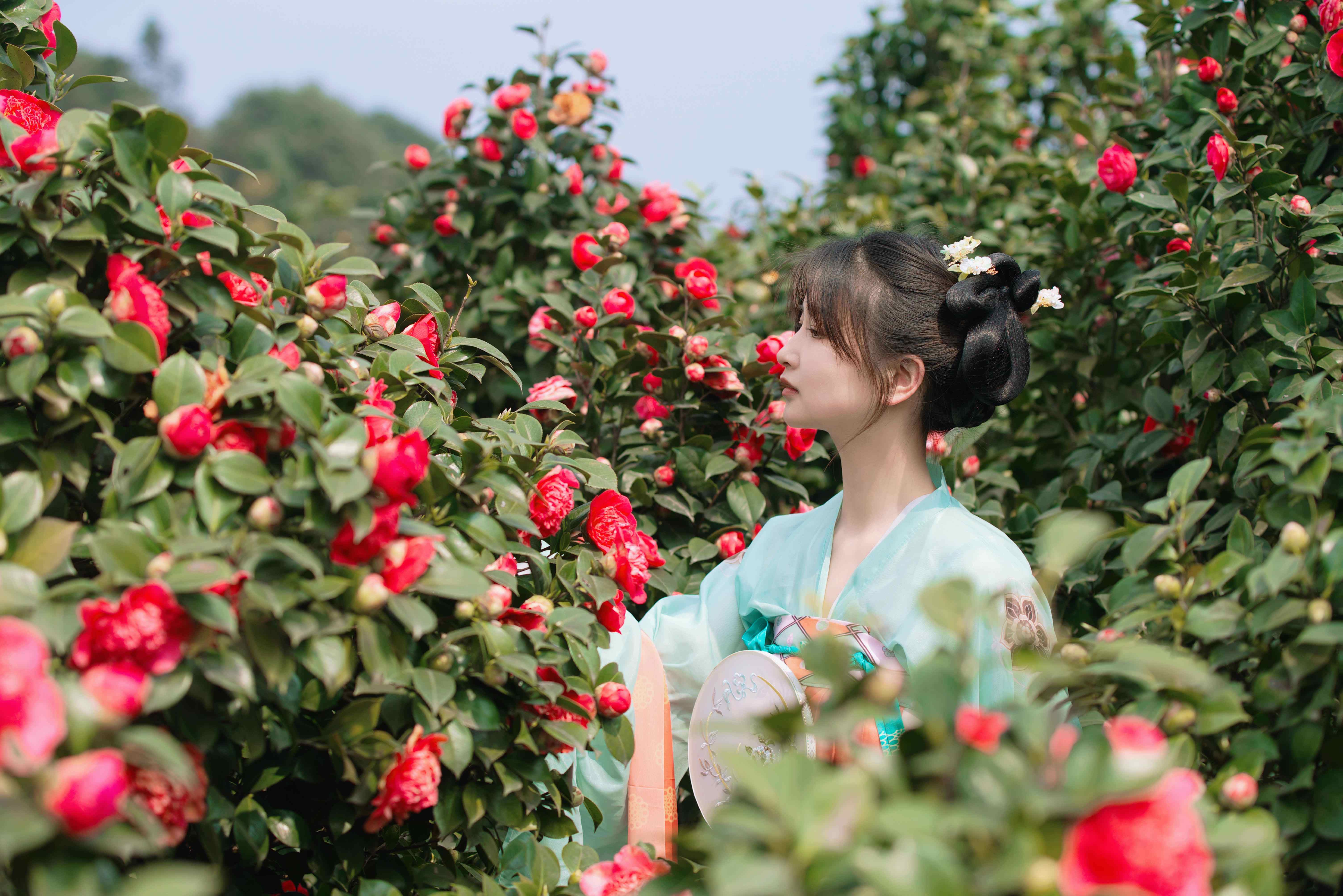 山姜花（山姜花） 第2张