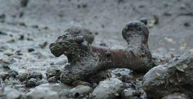 英国"死人岛"尸横遍野,电视台工作人员去过后,称会经常做噩梦_尸体