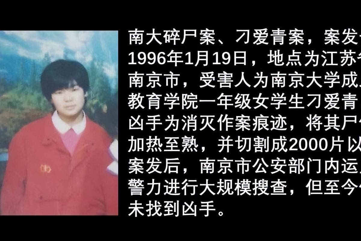 《他是谁》血腥来袭,四大案件原型比剧中情节尺度更大