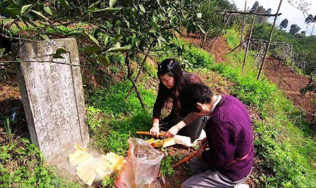 真没想到（清明节来历20字）清明节来历20字简单 第7张