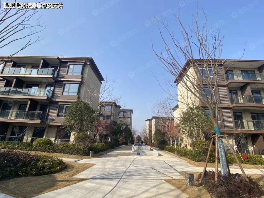 400-186-1314转5200(上海光明墅售楼处)24小时电话_东滩_陈家镇_崇明
