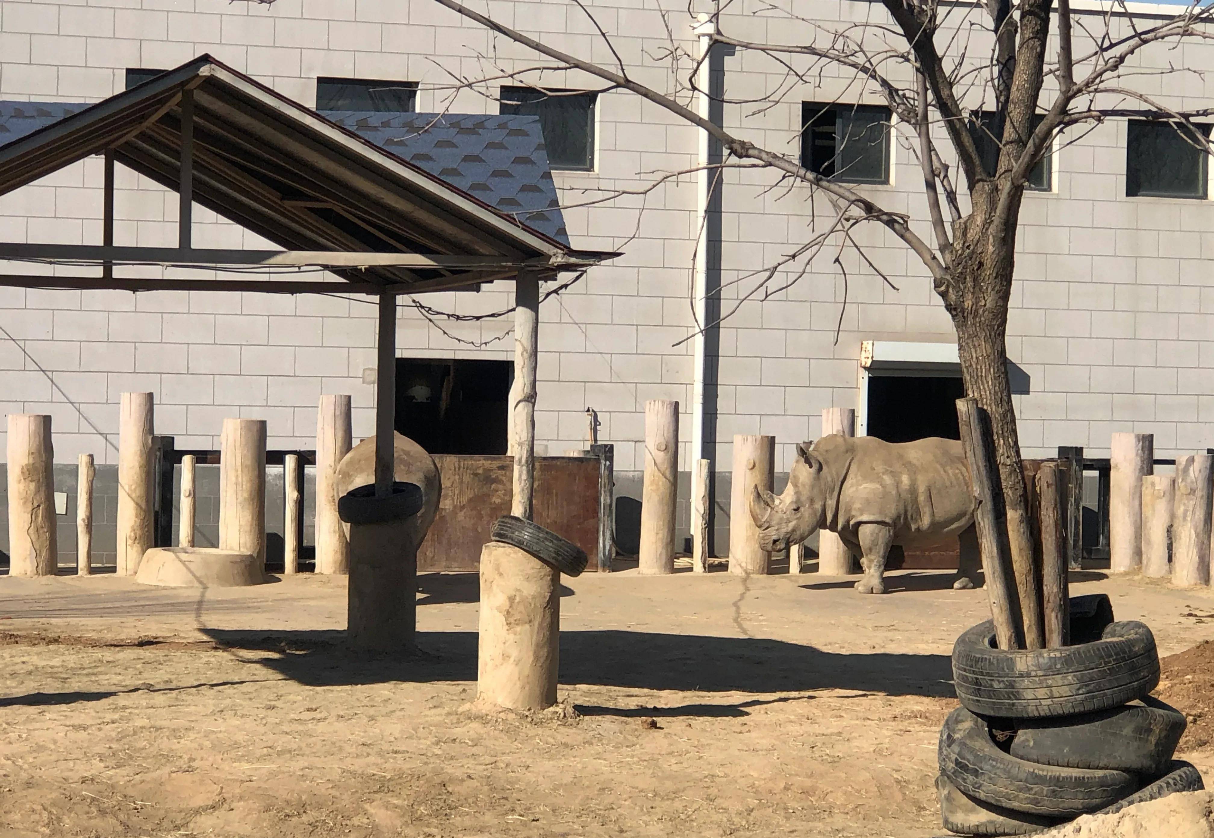 假如你沒搶到唐山動物園的免費門票,一招教你免費入園!