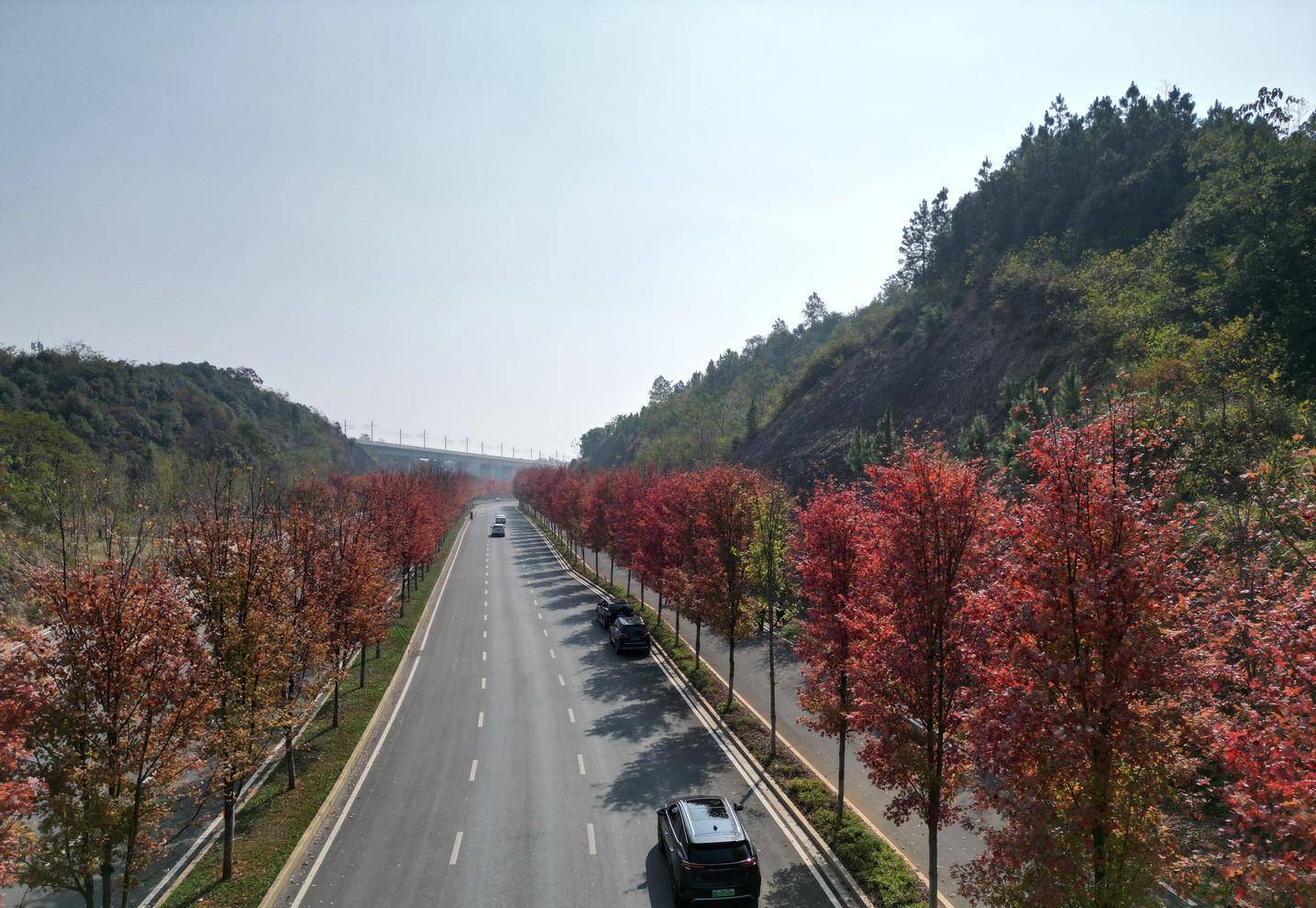 鱼形湖东路,或者鱼形湖东路与鱼形山路交叉口,千万不要跑到鱼形湖西路