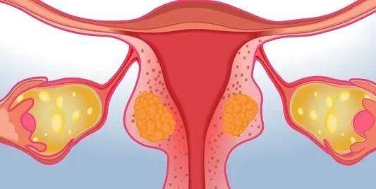 医生终于说出大实话_月经_榴莲_身体