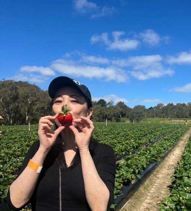 邓萃雯澳洲生活照曝光,穿针织衫摘草莓毫无赘肉,没大红唇真养眼_身材