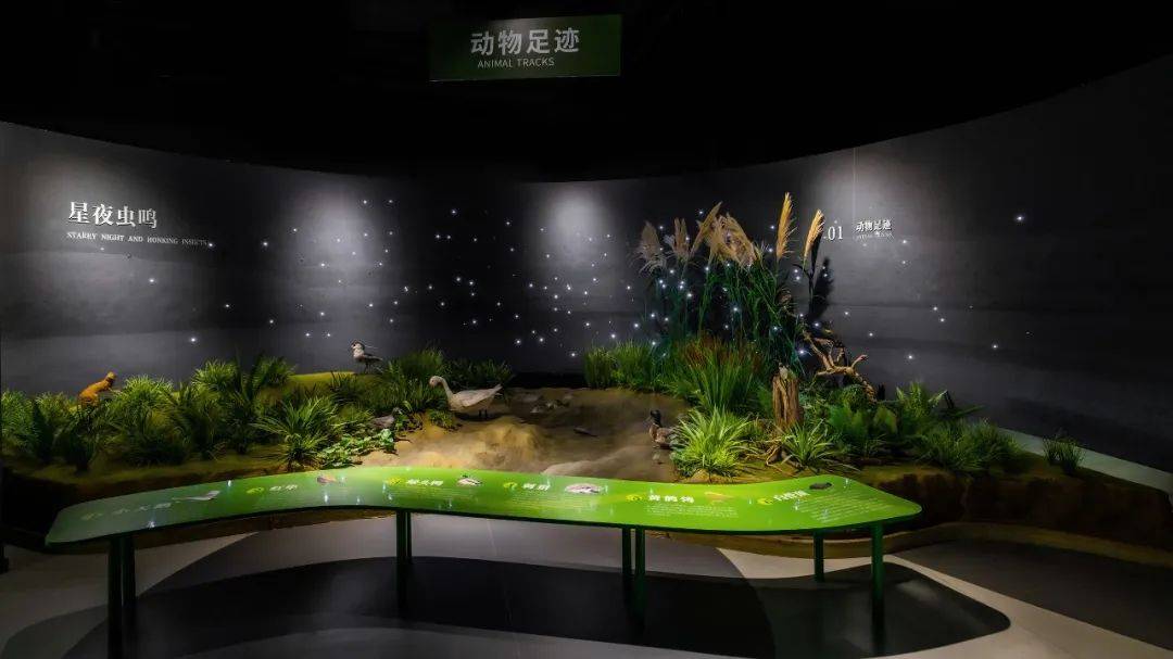 维迈金奖作品 | 中国溱湖湿地科普馆_游客_展馆_生态