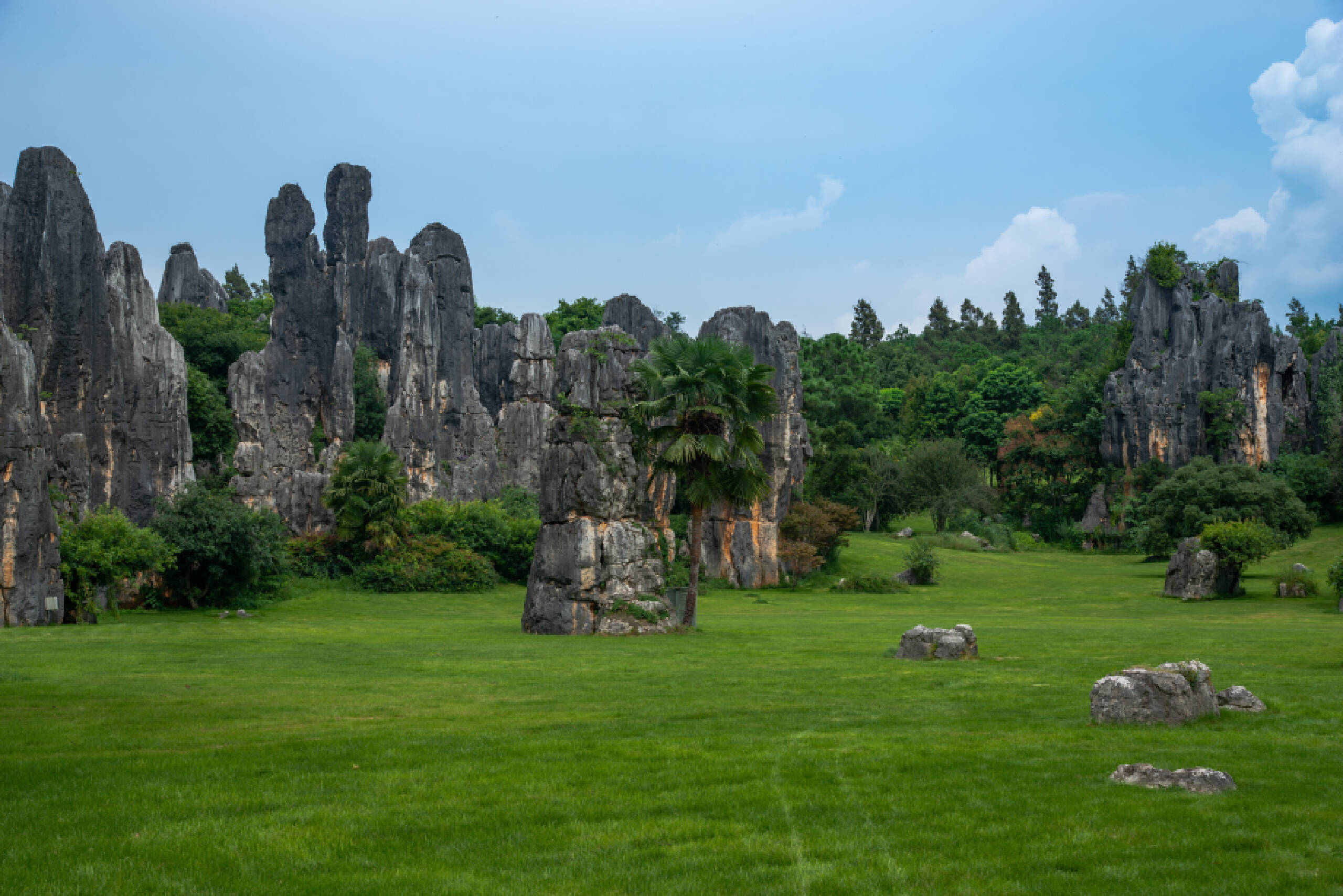 大自然风情园风景图片