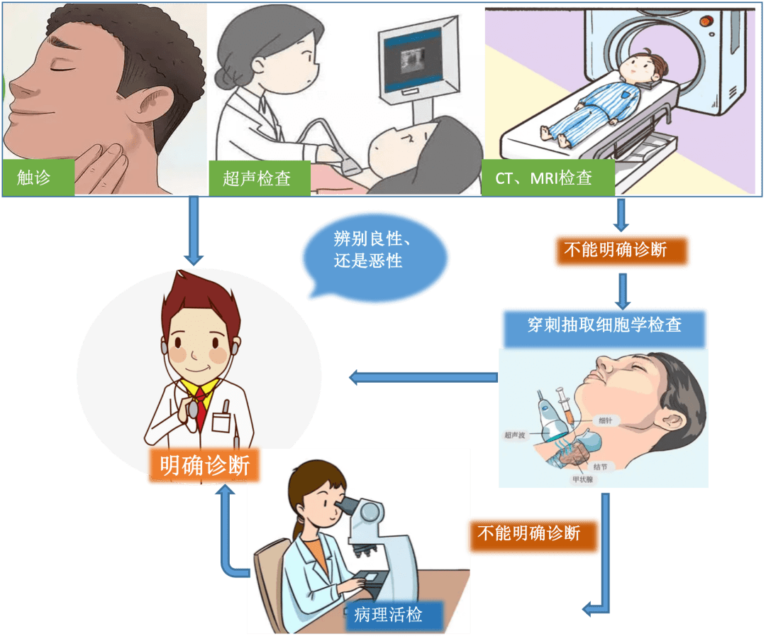 爱躺平的癌 增强ct对碘