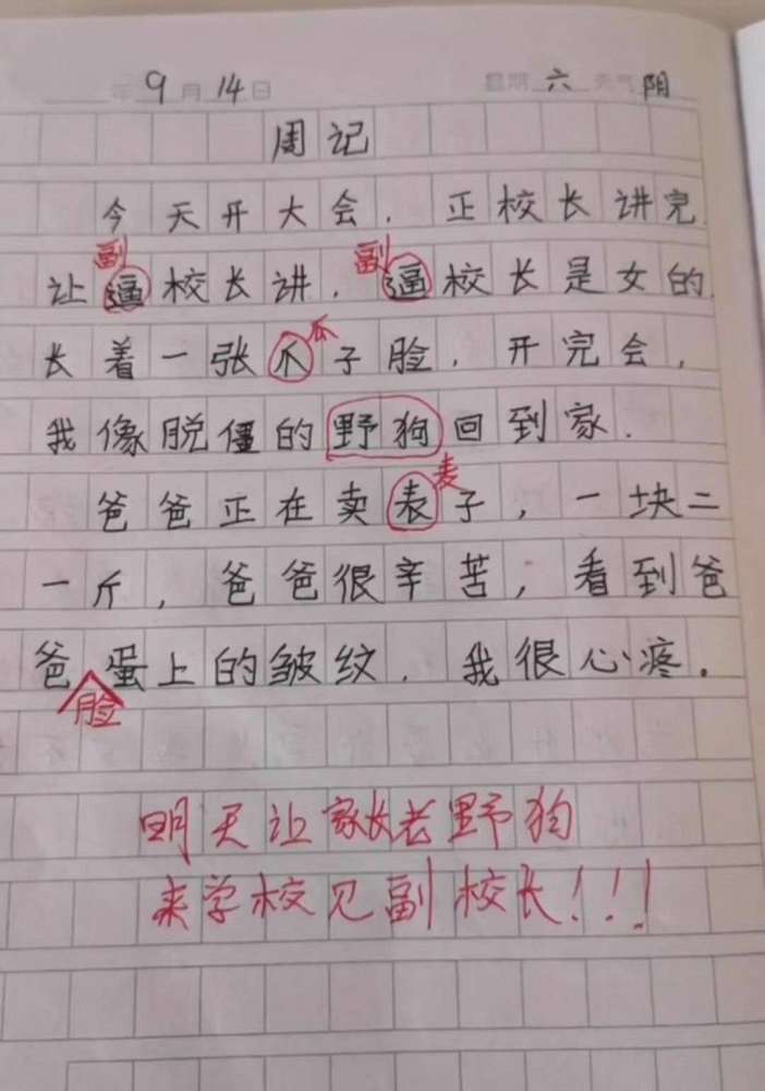 速看（小动物作文400字）动物优秀作文400字小狗三年级 第10张