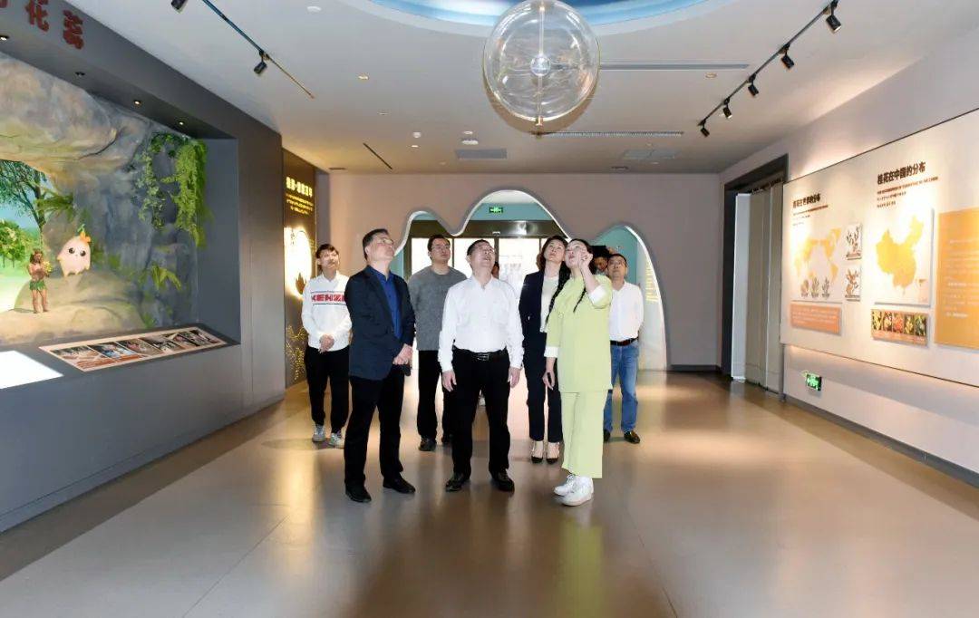 自治区文化和旅游厅厅长欧余军一行莅临桂花公社景区调研指导_桂林