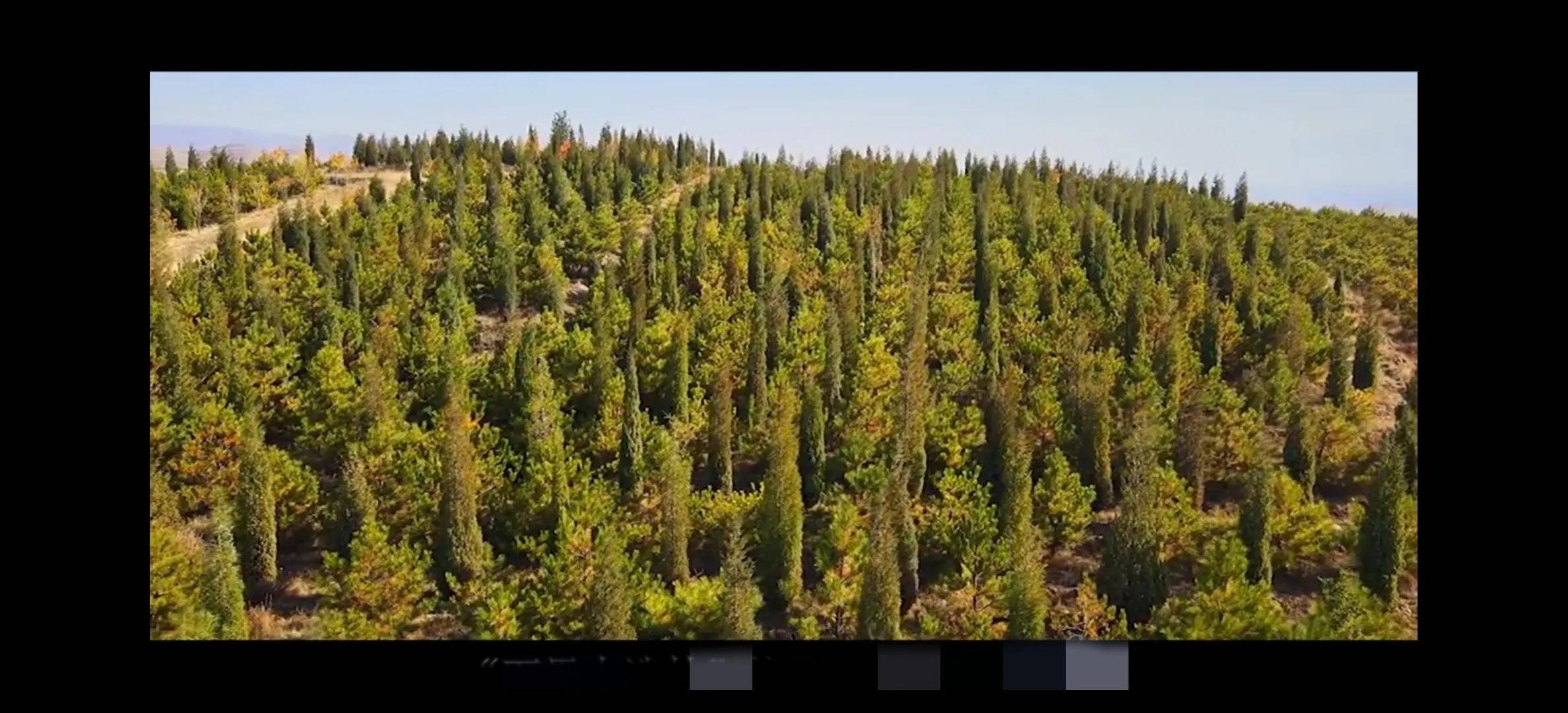 2004年,万里大造林已经发展到了项目的巅峰期,参观和投资的人川流不息