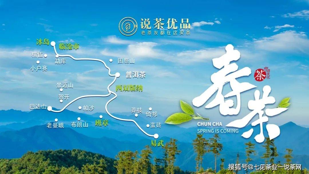 班章,易武,弯弓,冰岛,薄荷塘,你想要的都有_价格_八角亭_口感