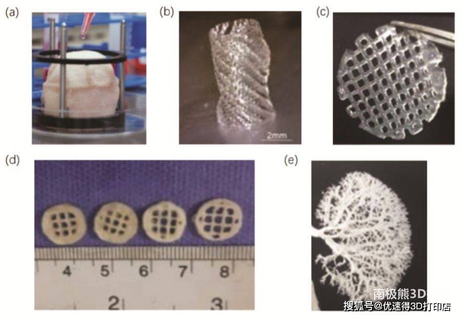 生物3D打印未来能不能让器官再生任重而道远_手机搜狐网