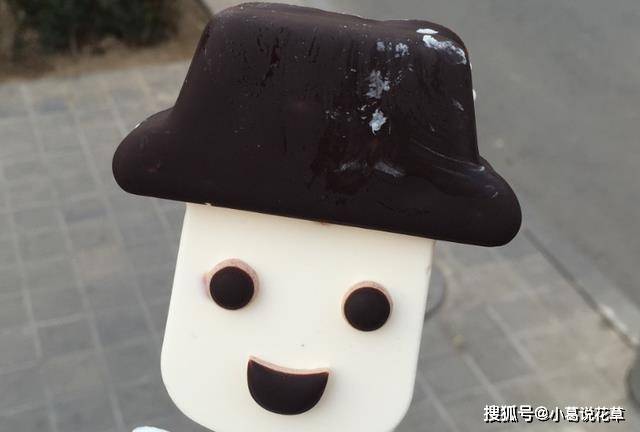 4种经典的童年雪糕,00后没见过,吃过的孩子都上幼儿园了_味道_火炬