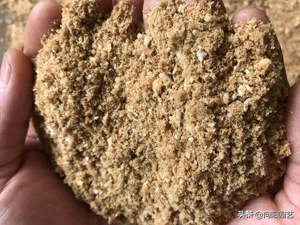 好用的沙土,养花的神器,沙土可以种万物,透水透气不烂根_植物_河沙