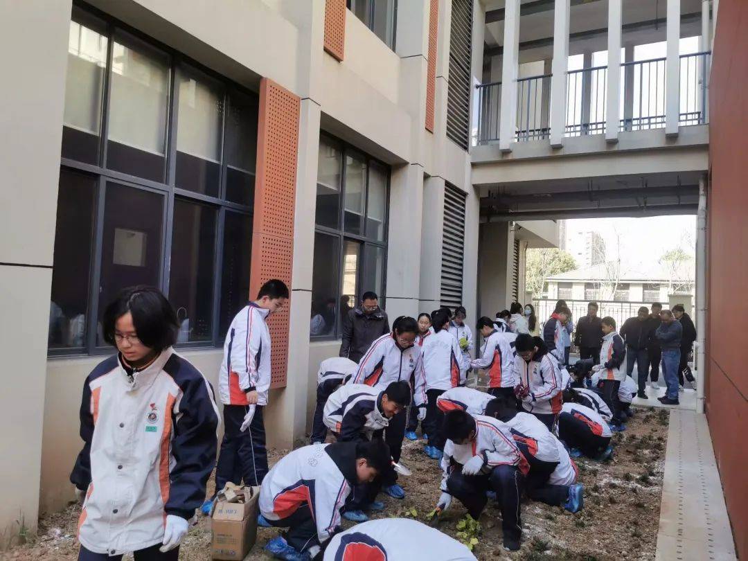 科利华中学铁北分校举行玄武区中学劳动教研活动_种植_教育_任务
