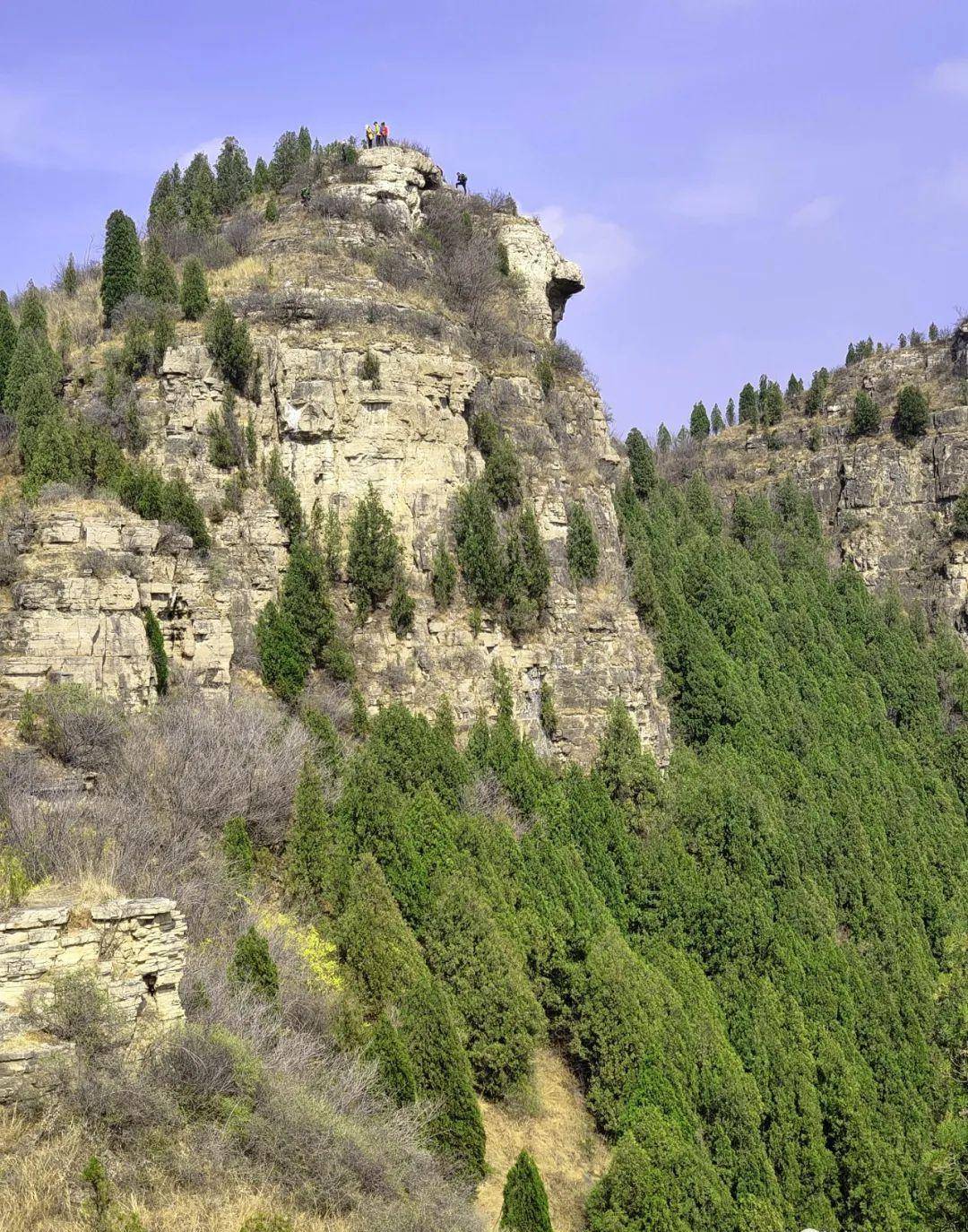 柳泉饶山图片