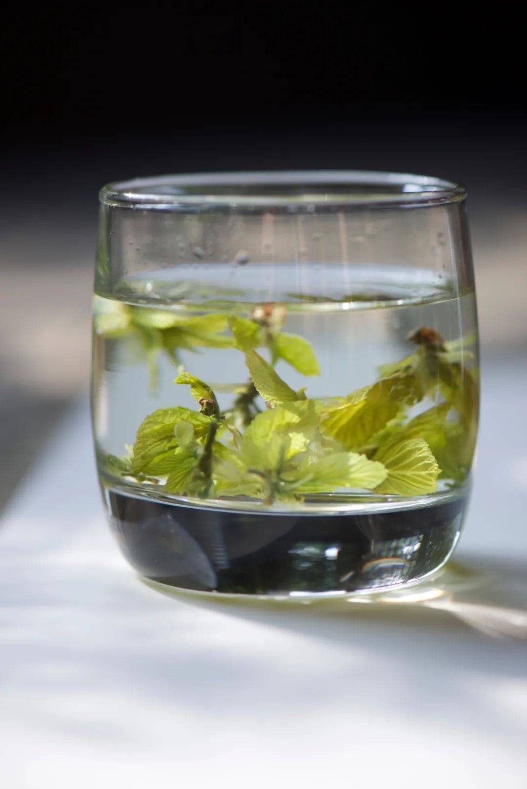 春桑茶 新茶上市 尚好茶业_嫩叶_岁月_灵气