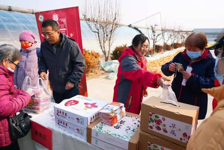 昌平草莓国家地理标志农产品品鉴推介系列活动完美收官 (图2)