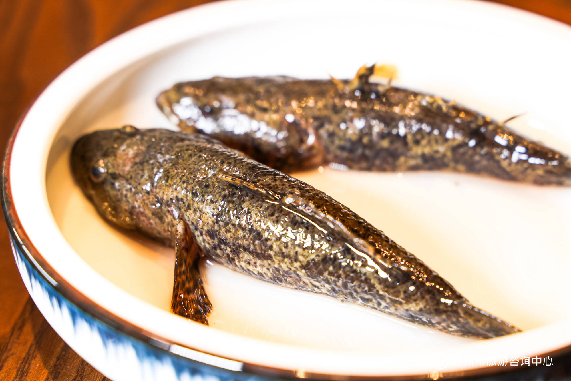 塘鳢鱼肥美的时节,在水乡苏州,怎能不吃上一次