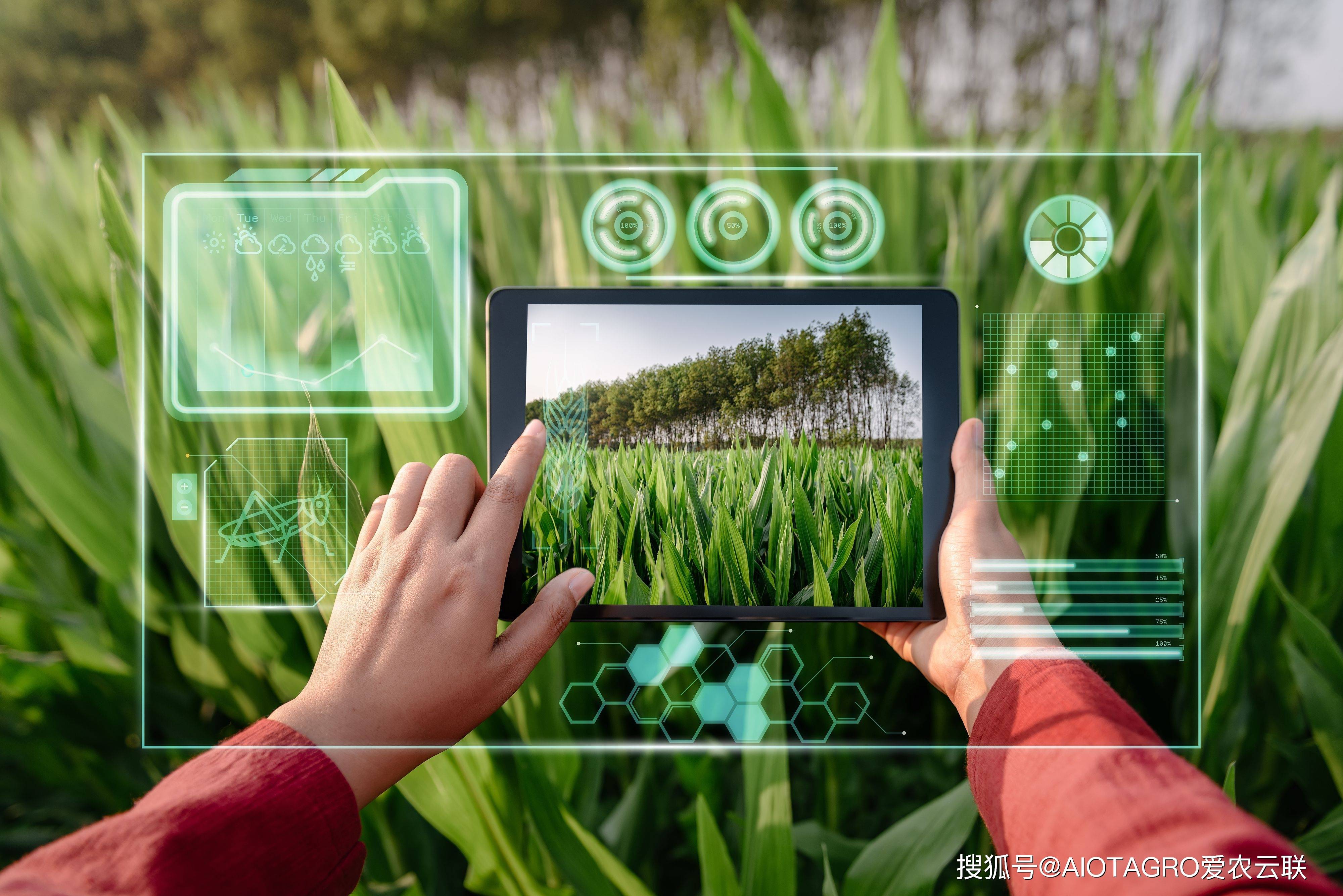 智慧农场贷款:助力数字化农业发展_生产_银行_技术