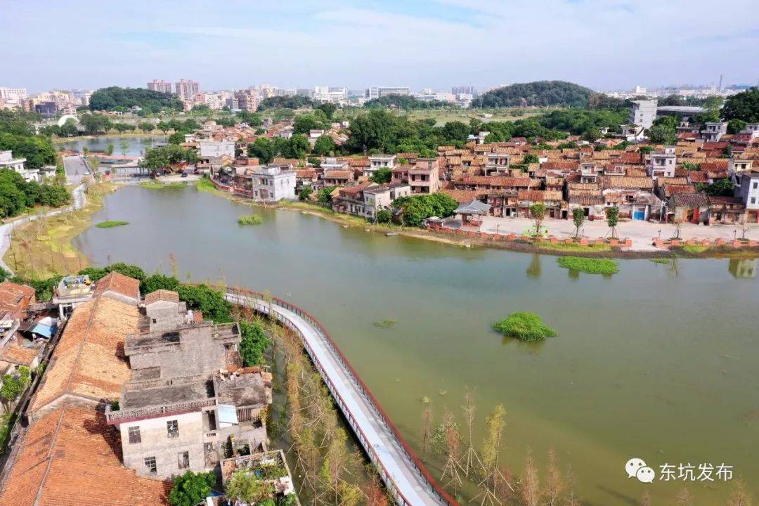 东坑镇推动"美丽环境"向"美丽经济"嬗变_特色_乡村_生态