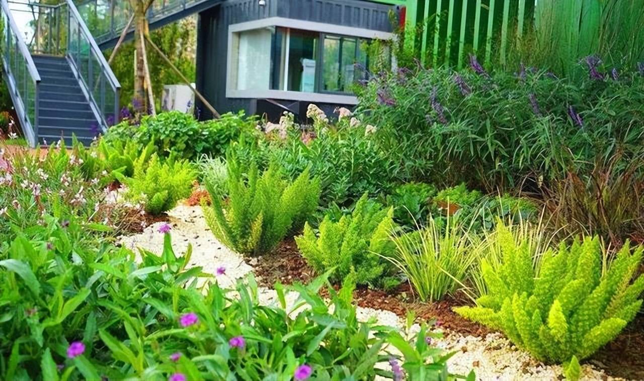 方法与注意事项吧~狐尾天门冬作为常绿的观叶植物,可以做花园花境搭配