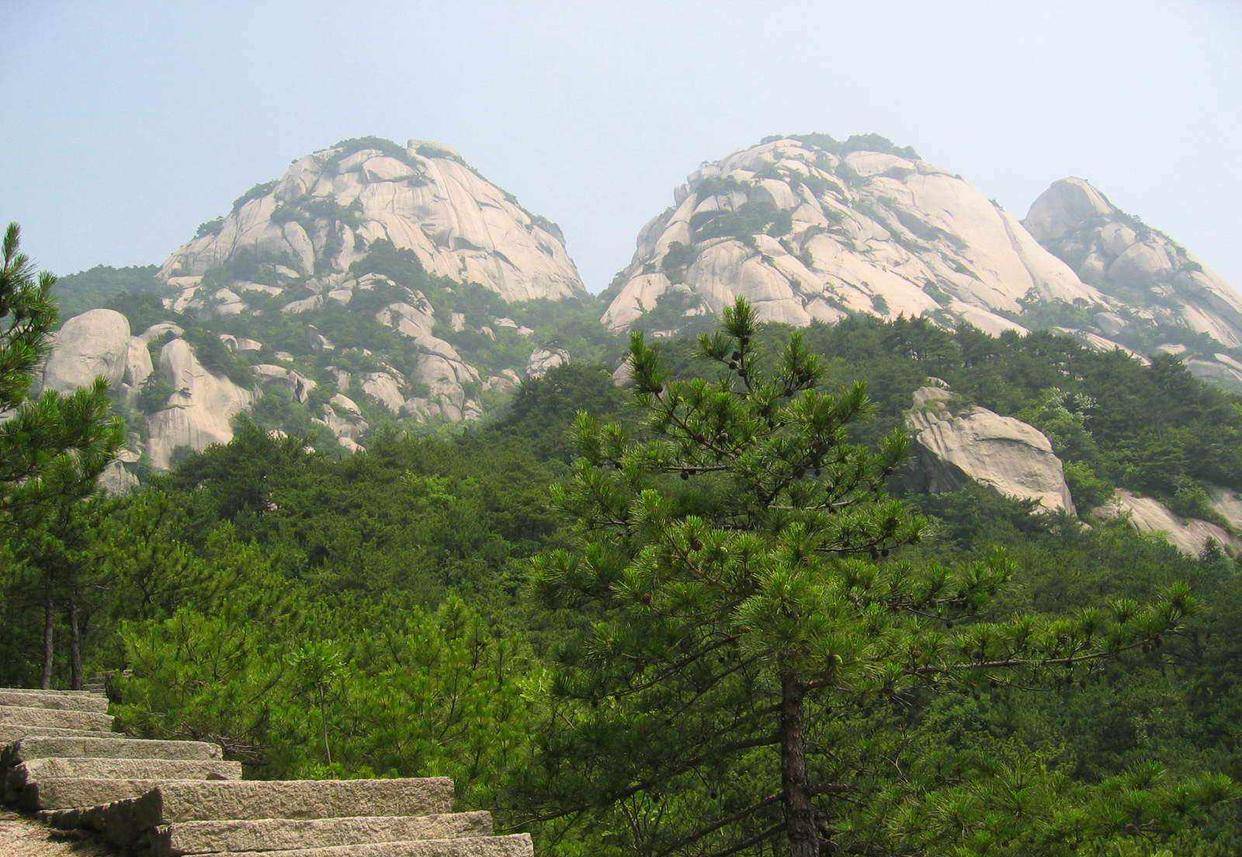 双面山景天珠 ken-block-ford-f-150-