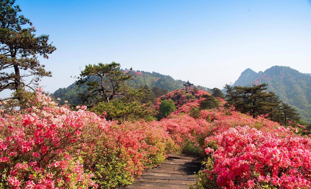 四月图片风景图片