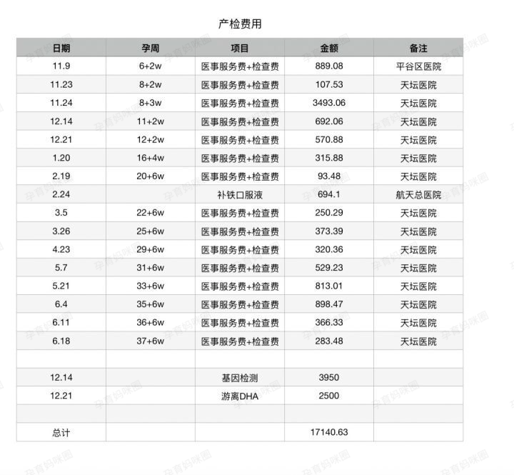 没想到（怀孕检查单恶搞图片）怀孕检查单子图片 伪造 第9张