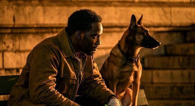 不愧是爱犬电影,《疾速追杀4》这条狗如何让约翰威克完成救赎?