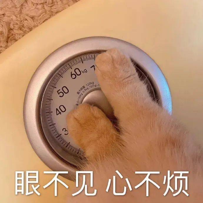 有哪些看上去热量很高，实际上热量很低的食物？(热量又低又好吃的食物)