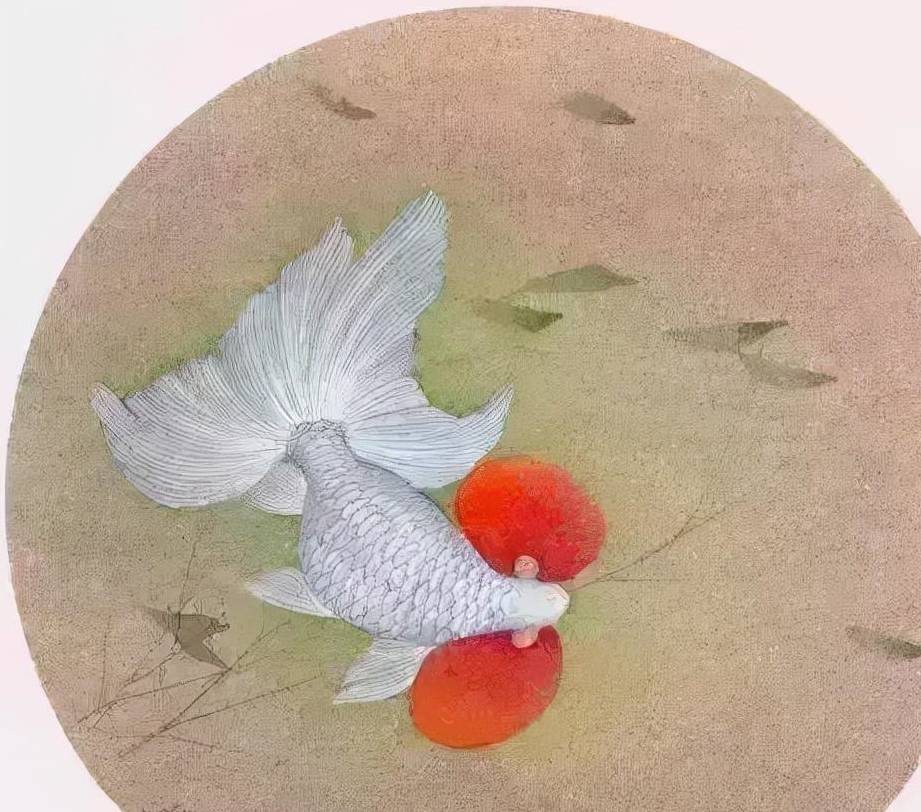 图文教程 一篇挺全面的工笔画金鱼详细图文教程_步骤_白粉_鱼鳞