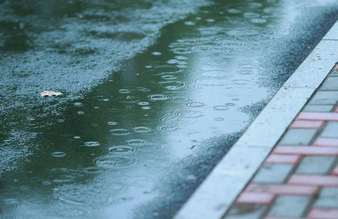 雨润大地向荣景,水暖万物满城春_春雨_大兴机场_美感