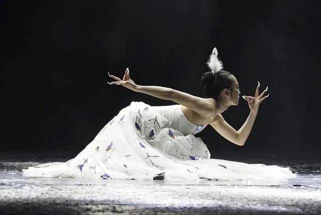 杨丽萍的春牛图舞蹈图片