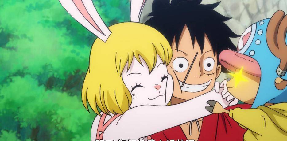 海贼王:女帝倒追,白星变迷妹,路飞连它都不放过?该死的魅力!