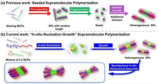 北理工在液晶嵌段共聚物超分子聚合自组装方面取得重要进展_控制_结构