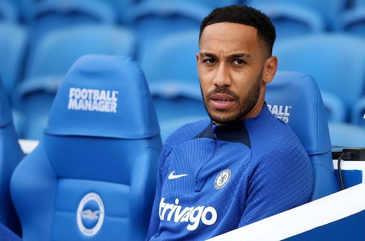 托德·波利_投资_1