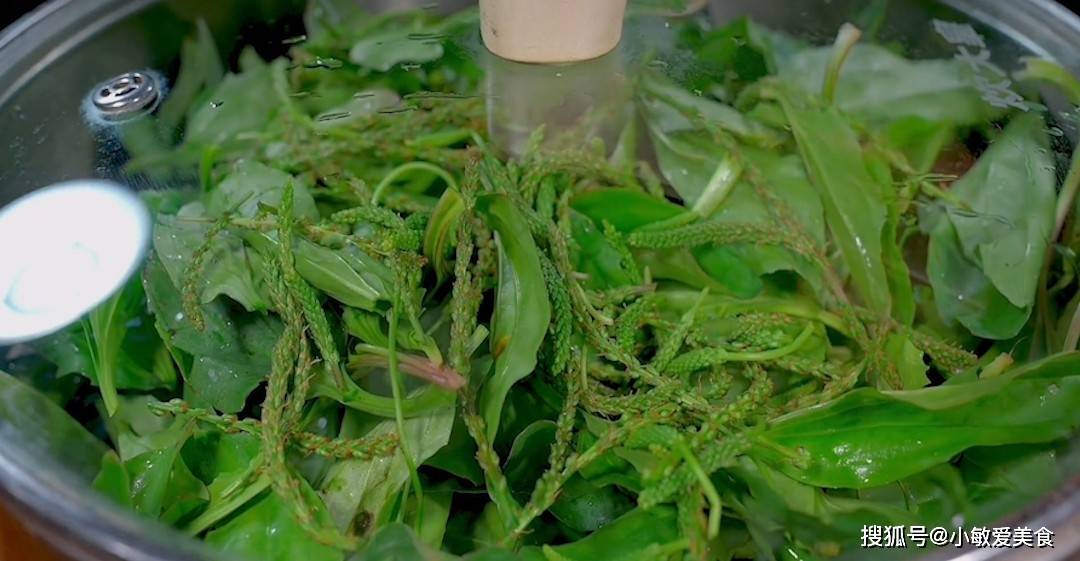 2,锅中加入多点的清水,把车前草全部放到蒸屉上面,盖上锅盖,上汽以后