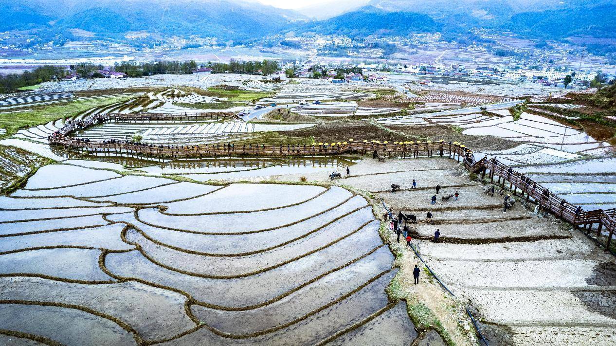万象"耕"新,越西奏响春耕"进行曲"_普雄镇_文化_梯田农业