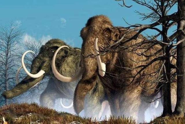 瞬间发动攻击,然后以极快的速度将猎物送到他的口中,利刃如锯齿般排列