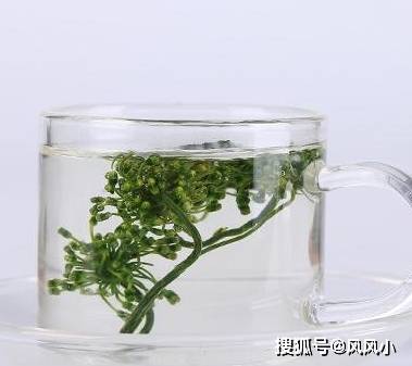 人参花（人参花泡水喝的功效和作用） 第3张