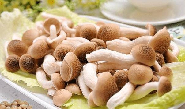 蟹味菇的功效图片