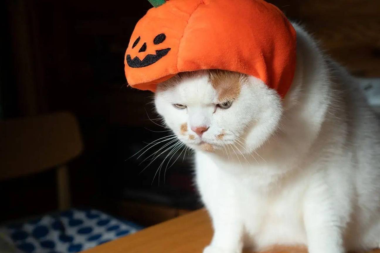 ""小伙子别不识抬举!""我睡觉呢!为什么走这条道?