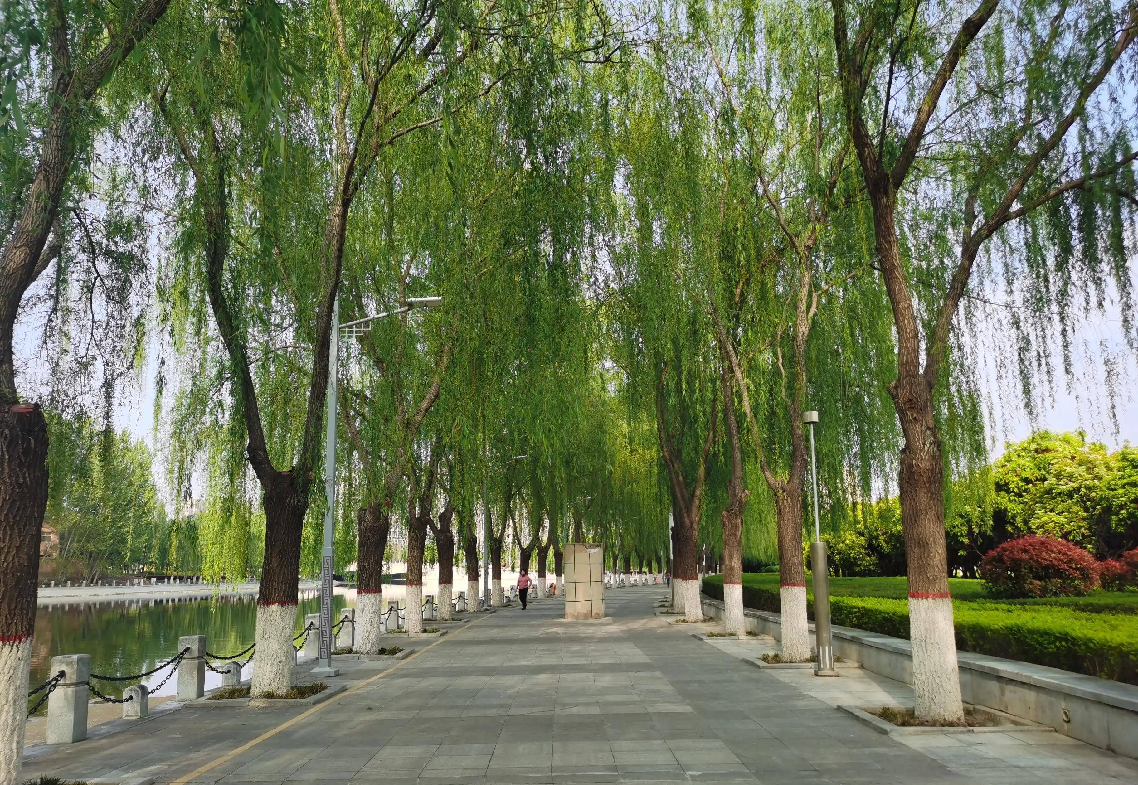郑州滨河公园图片