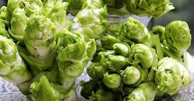 一母多子,这也是它叫"儿菜"的来由.你们那边看到有这种菜吗