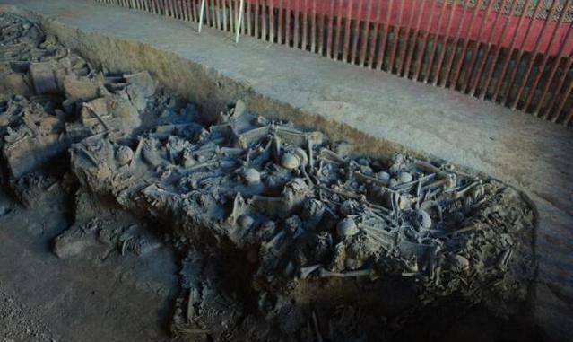 白起_情况_赵国