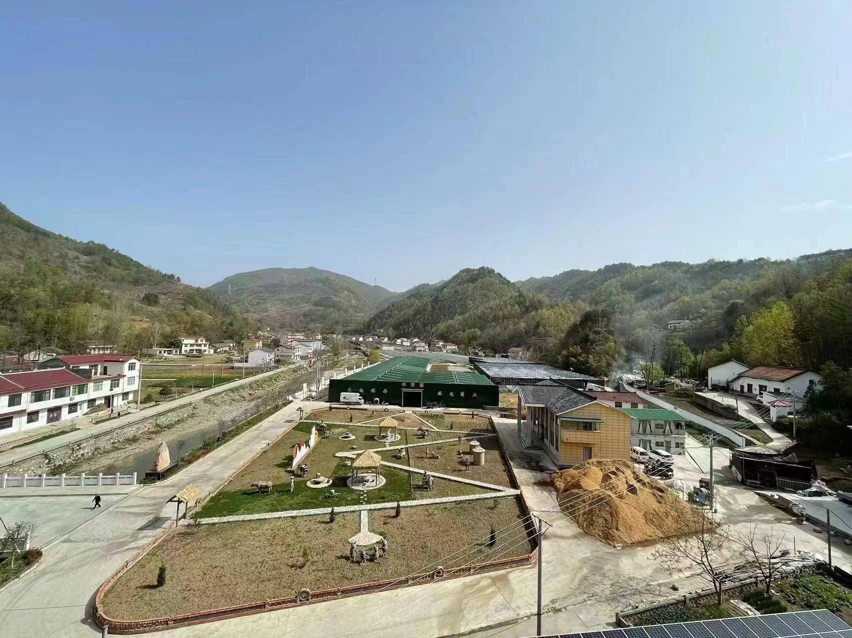 商洛镇安大坪镇:探索"123"工作措施 助推乡村振兴_群众_建设_庙沟