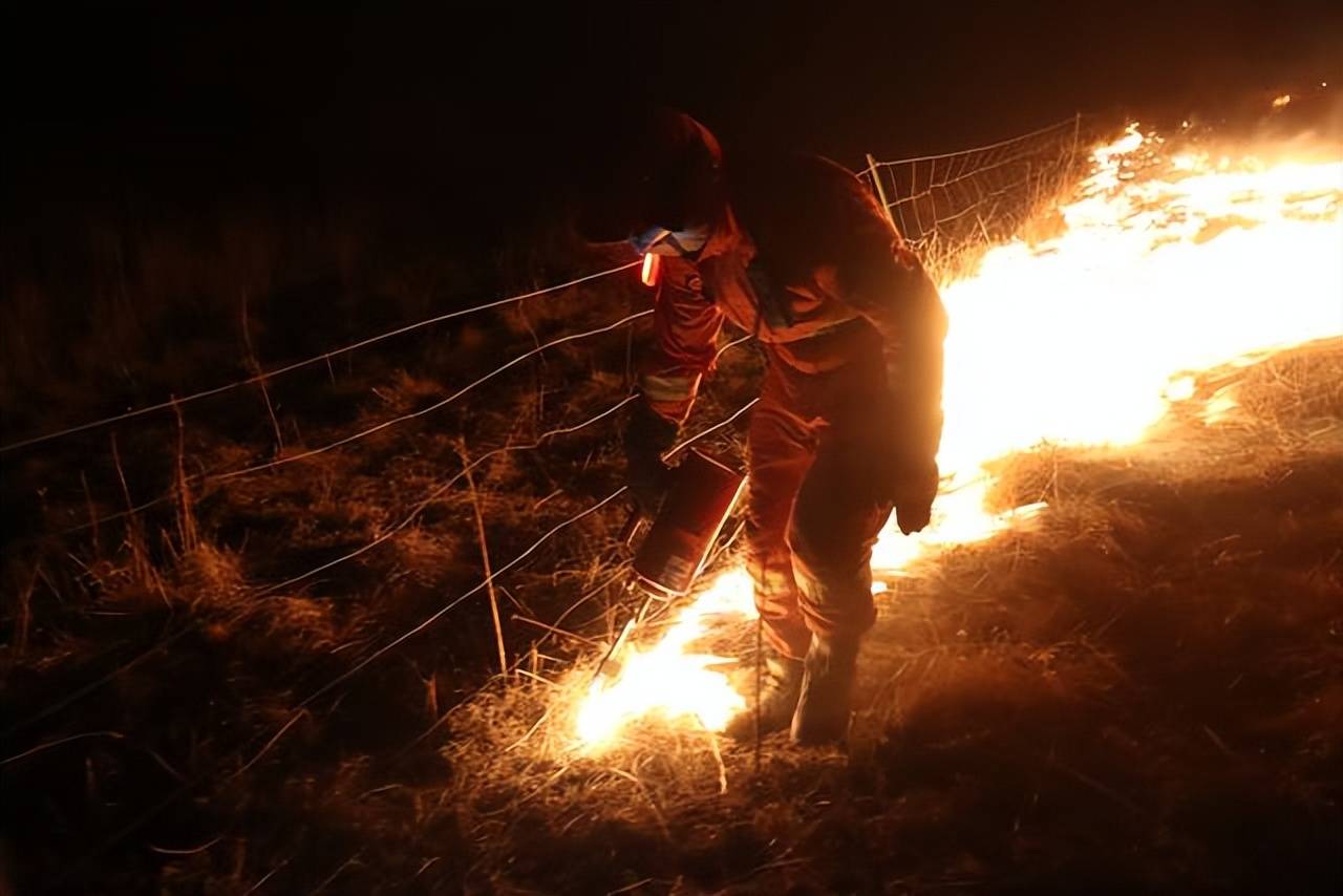 原创            中蒙边境草原起火围栏挂满羊焦尸，为何不能把铁丝网打开呢？-蒙古草原野火被扑灭