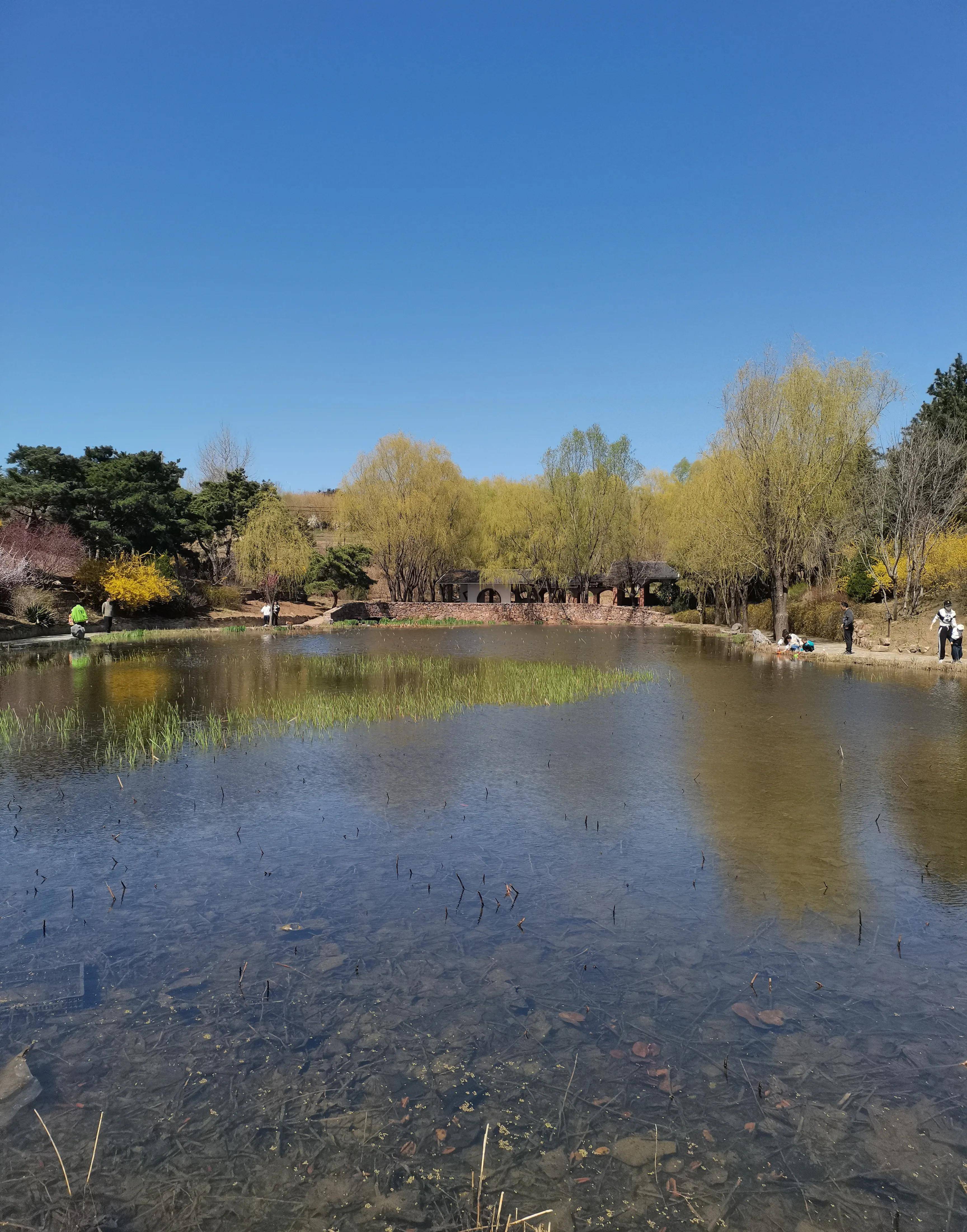 大连英歌石植物园门票图片